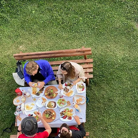 Alpinehouse 게스트하우스