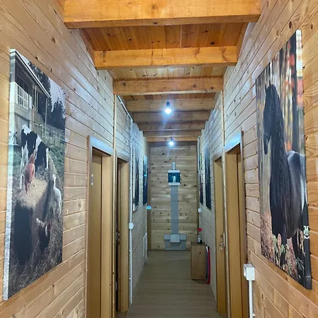 게스트하우스 Alpinehouse 3*