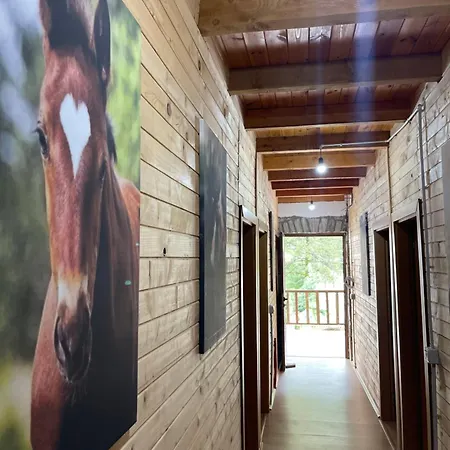 Alpinehouse 게스트하우스 3*