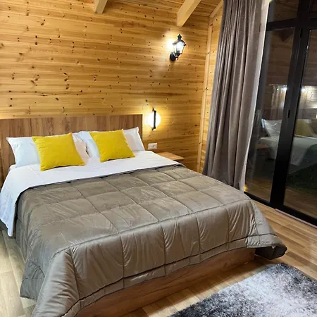 Alpinehouse 招待所