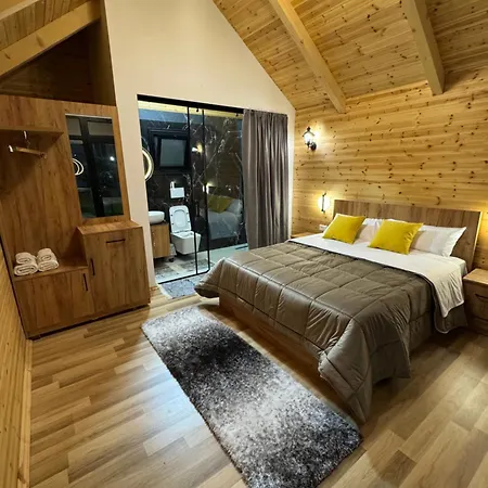 Alpinehouse 게스트하우스 3*