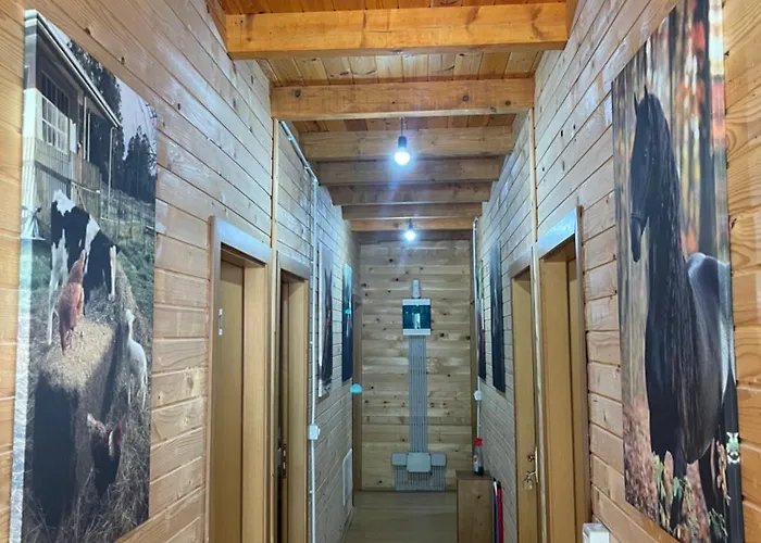 Pensjonat Alpinehouse 3*