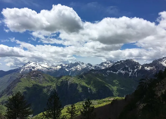 Pensjonat Alpinehouse 3*